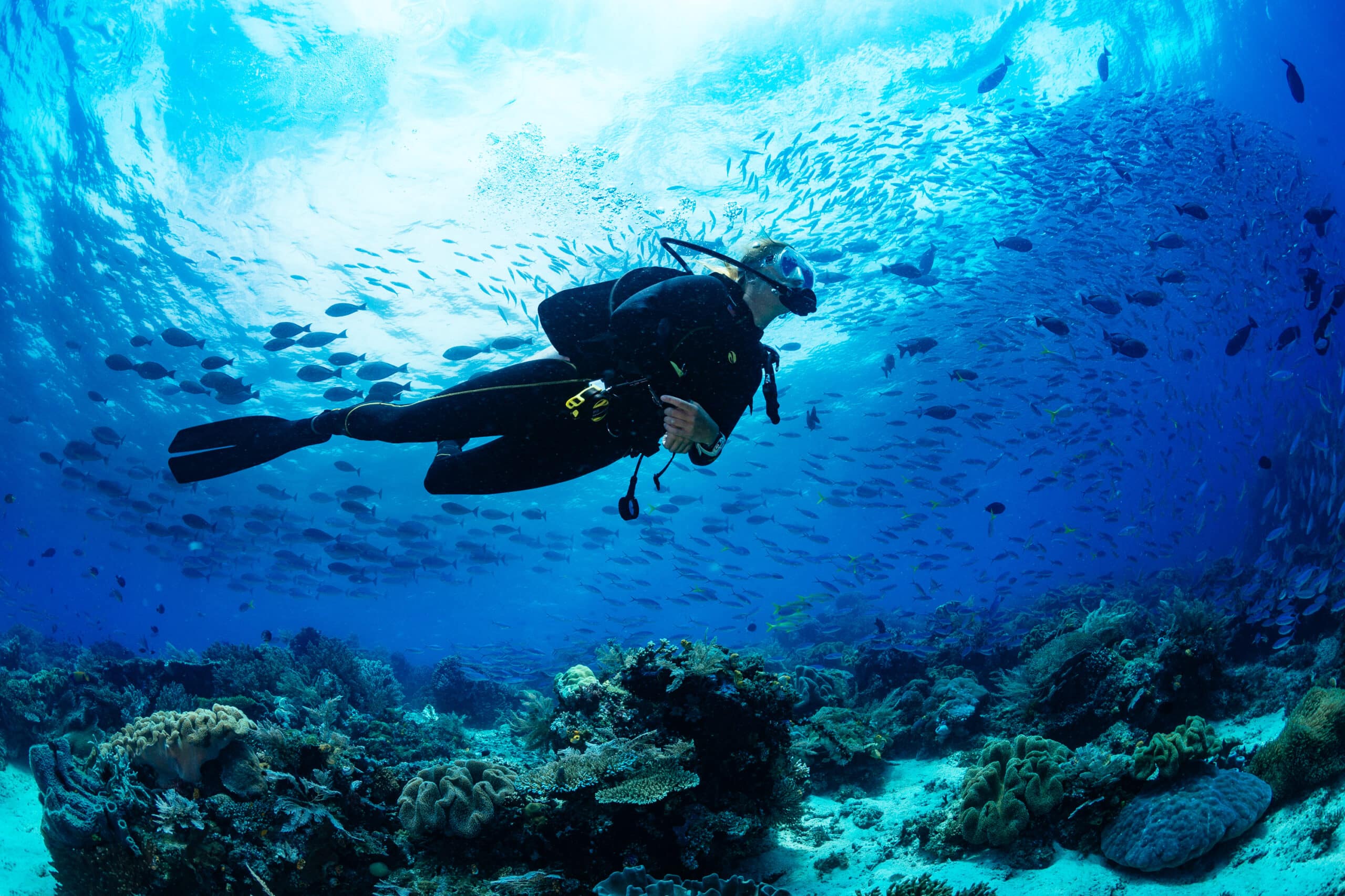 Girl,Scuba,Diver,Diving,On,Tropical,Reef,With,Blue,Background