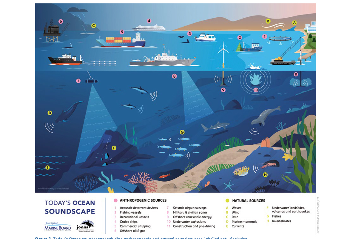 Esquema de diferentes fuentes sonoras de un paisaje sonoro submarino